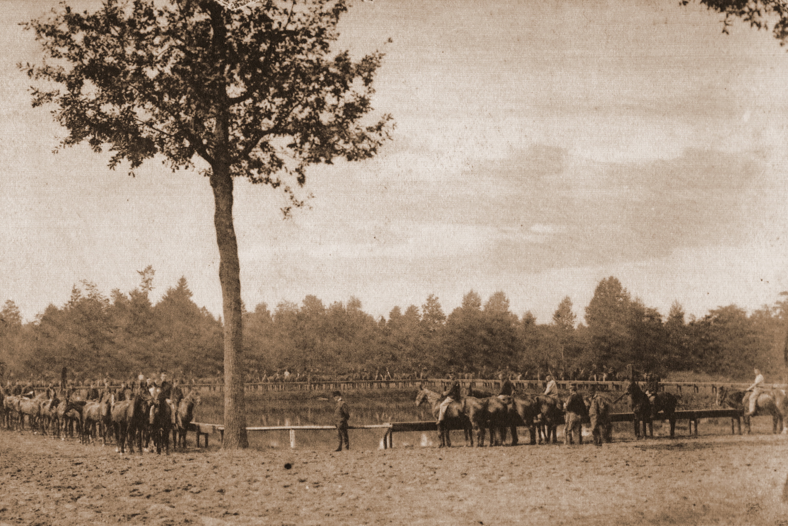 Drinking place for Horses