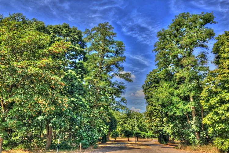 Royal Park