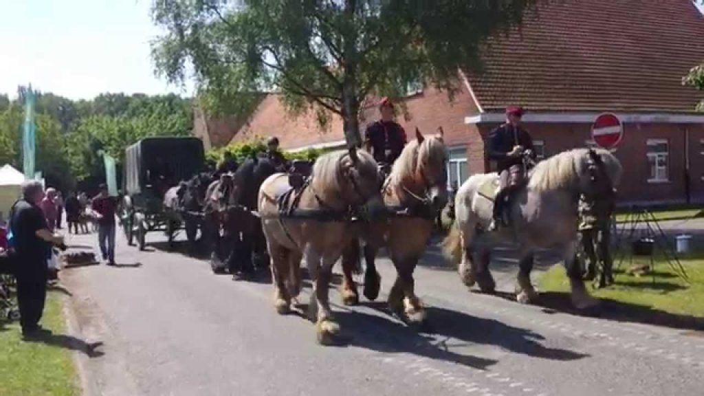 OPENDEURDAG BRIGADE LEOPOLDSBURG -  21 mei 2014