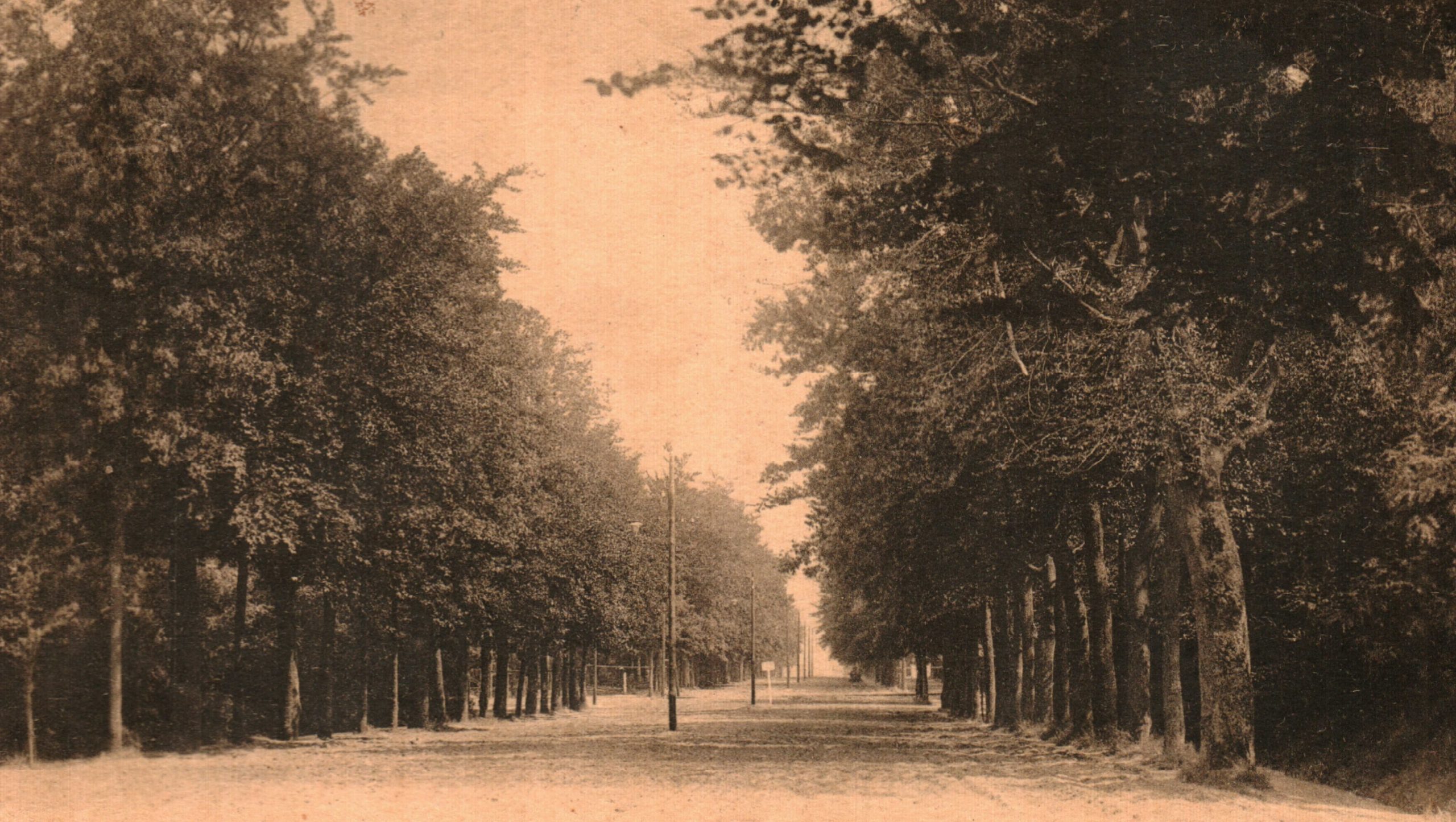 Straatnamen