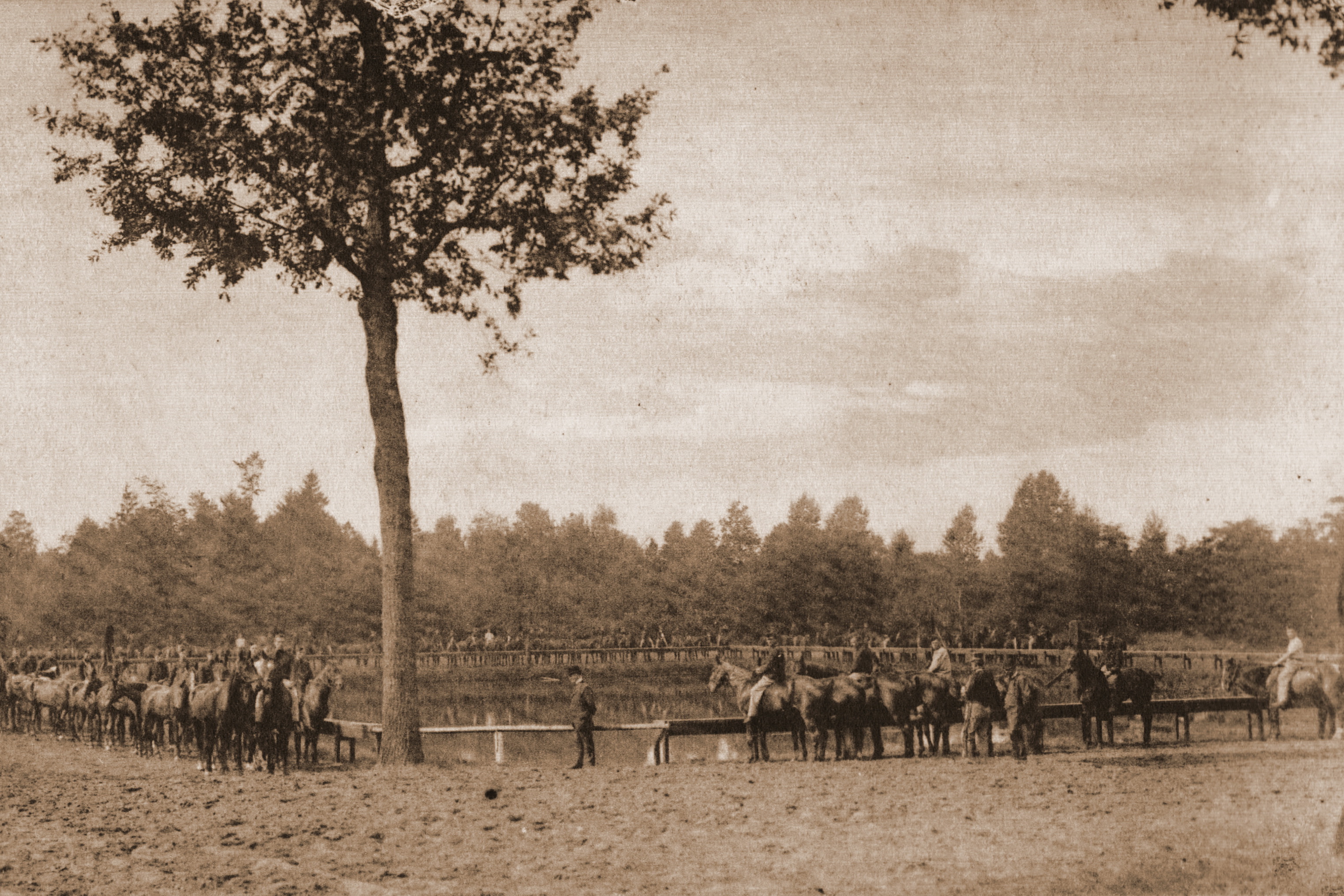Drinkplaats voor Paarden