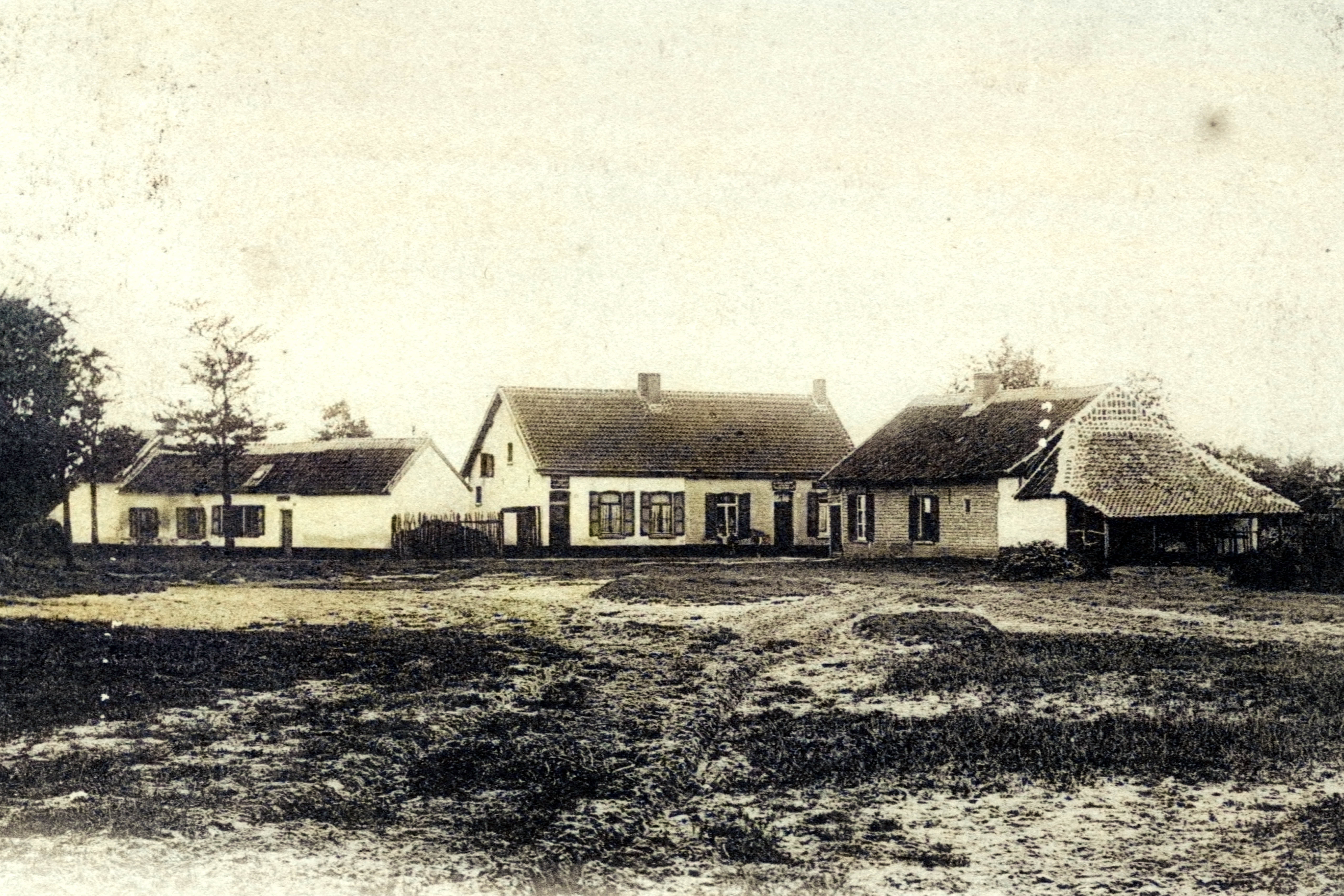 De Boskant (The Woodside)