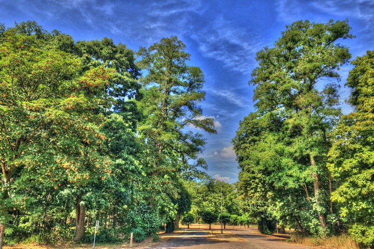 Koninklijk Park